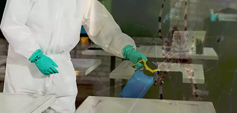 Why Buyers Still Want Homes With Pest Infestations in Newark, NJ?