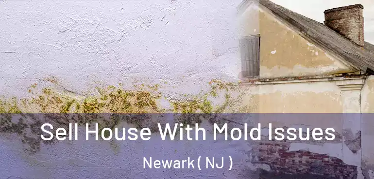  Sell House With Mold Issues Newark ( NJ )